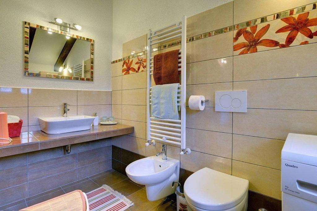 Casa Karnevali Villa Žminj Екстериор снимка