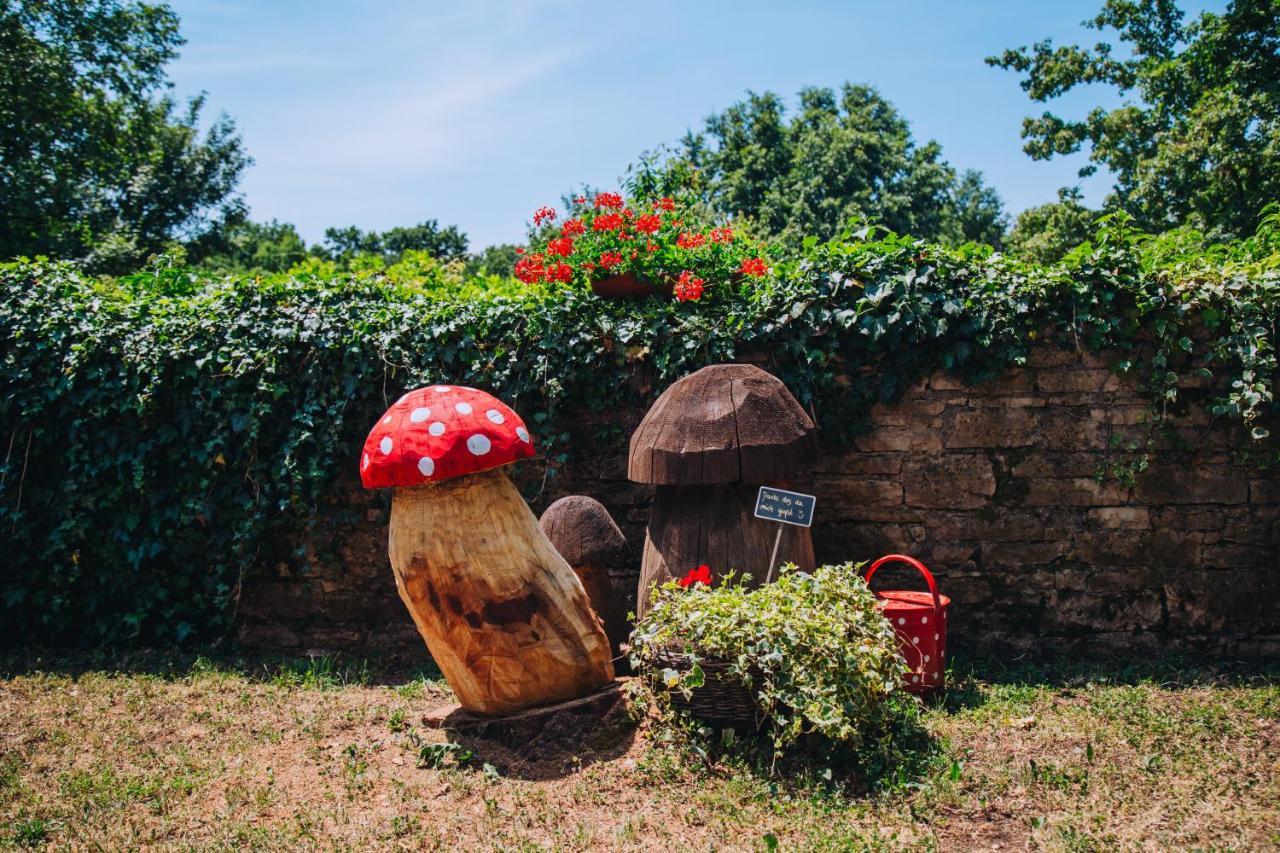 Casa Karnevali Villa Žminj Екстериор снимка